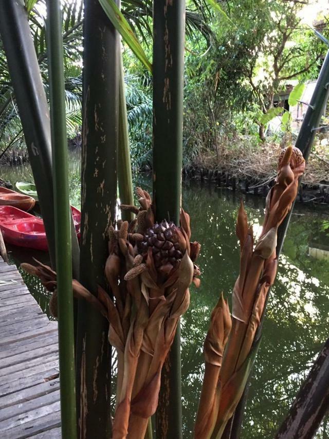 Hotel Baan Glangsuan Bang Kobua Bang Chak Exteriér fotografie